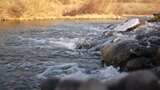 水 河流 小溪 风景 水流 河道 河 风光高清在线视频素材下载