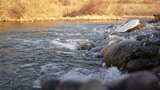 水 河流 小溪 风景 水流 河道 河 风光高清在线视频素材下载