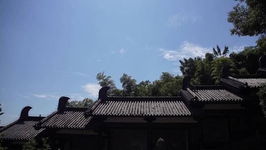 嘉兴柯岩风景区普照寺风景视频