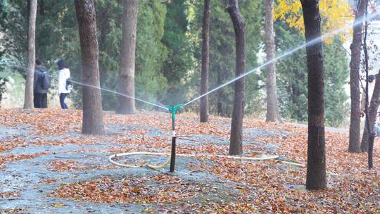 公园喷头水花灌溉浇水园林绿化