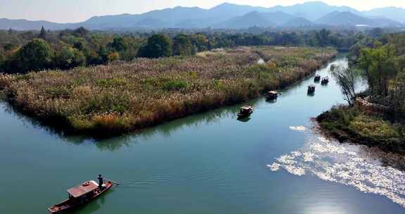 杭州西溪湿地秋意浓航拍