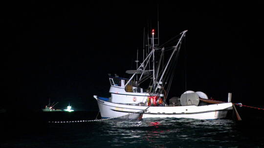 一艘渔船在夜间工作