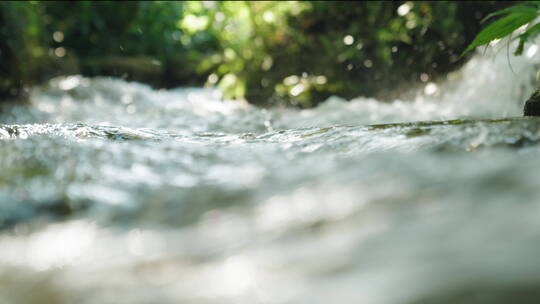 森林小溪流水升格特写意境感