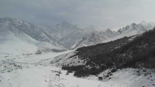 青海互助龙王山雪山树木航拍视频