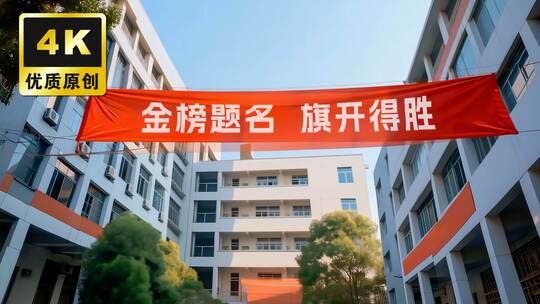 高三毕业高中毕业金榜题名毕业季我们毕业了