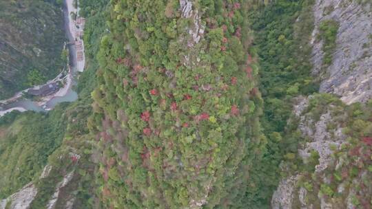 航拍净坛峰红叶