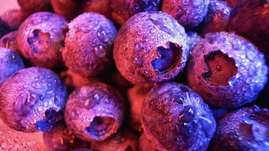 微距摄影中水滴中的蓝莓