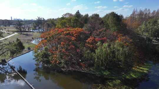 上海共青森林公园 杨浦区