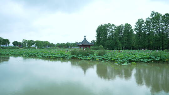 武汉东湖磨山风景区