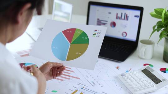 4K 企业财务数据管理和年报业绩审计