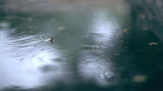 秋雨落叶意境雨滴水面雨滴涟漪