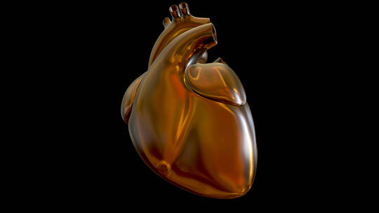 心脏 结构 医学 心跳 心 三维