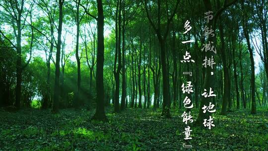 简洁3月12日植树节节日宣传片头展示