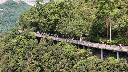 广东观音山国家森林公园第十二届登山大赛