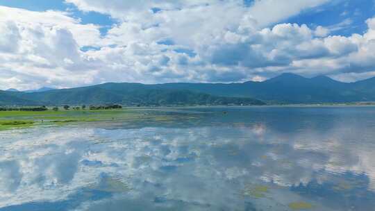 拉市海湿地公园夏天