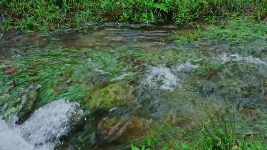 小溪河流清澈水流
