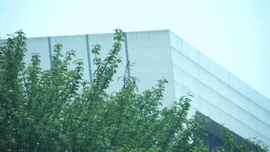 城市建筑