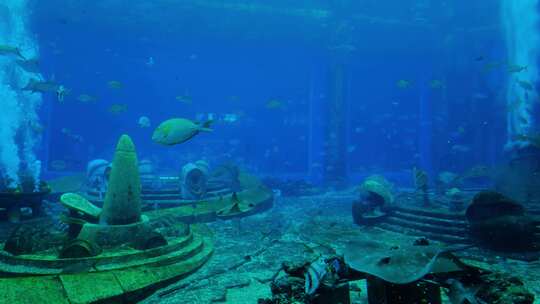 海洋馆水族馆海底世界魔鬼鱼鳐鱼视频素材模板下载