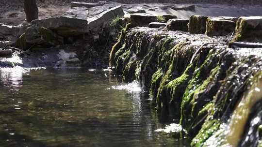 沕沕水五龙谭 溪水 水流 自然景观