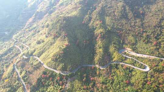 杭州临安浙西天池秋天盘山公路风景航拍