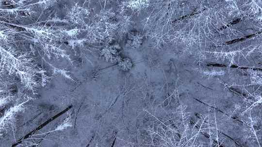 航拍东北下暴雪林海雪原威虎山