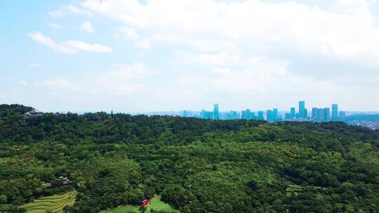 航拍广西南宁青秀山风景区