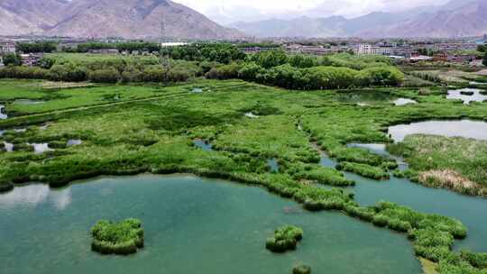 西藏 拉萨 拉鲁湿地