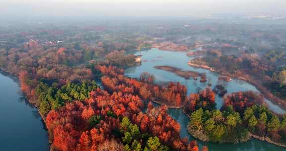 航拍杭州西溪湿地
