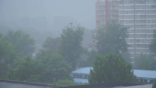 雾气雾霾阴天下雨暴雨中的城市