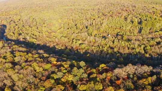 航拍东北秋季多彩森林与河流视频素材模板下载
