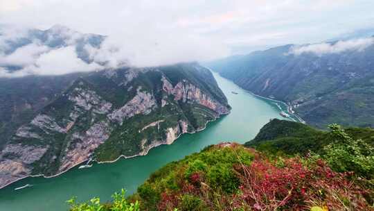 三峡红叶