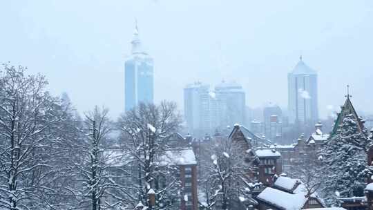 雪中城市景象，房屋树木高楼皆被雪覆盖