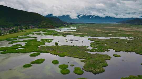 云南高原湖泊泸沽湖草海景区