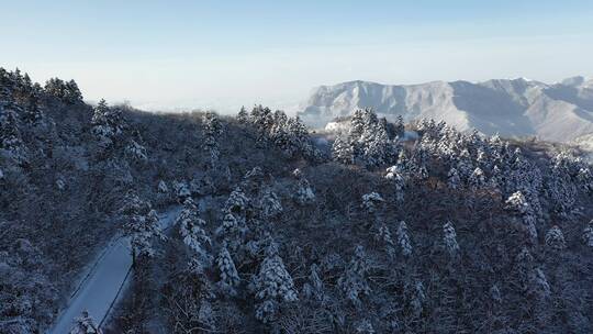 航拍湖北神农架风景区冬季雪山冰雪风光雪景