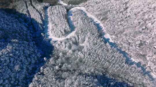 陕西秦岭分水岭雾凇冰挂雪景视频素材模板下载