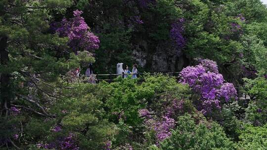 河南伏牛山山脉平顶山尧山层峦叠嶂的山峰