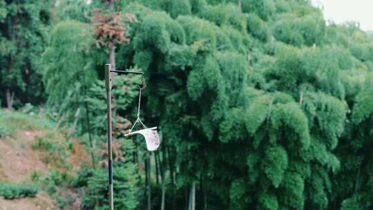 莫干山森林营地风景空镜头