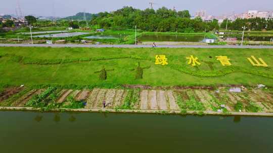 中国绿色农业批量化种植现代种植绿色生产