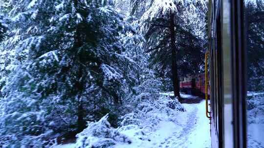 阿尔卑斯观光火车穿梭在白雪皑皑的森林