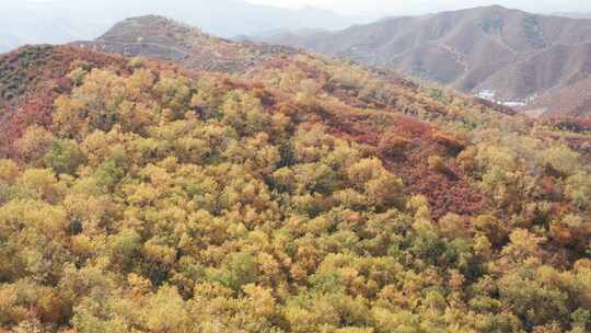 内蒙古乌兰察布林胡古塞金色秋景美景航拍