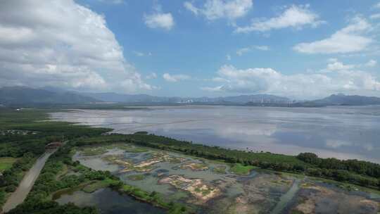 4K航拍深圳福田红树林湿地保护区