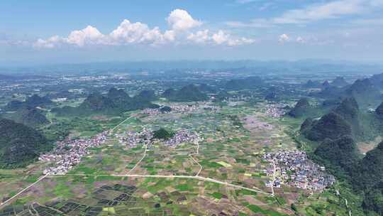 田园风光水稻产业化种植