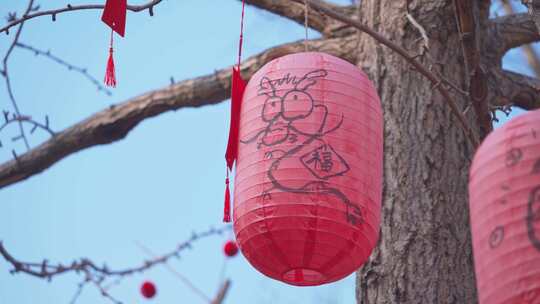 杭州西湖钱王祠新年祈福红灯笼