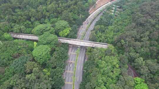 林间公路航拍