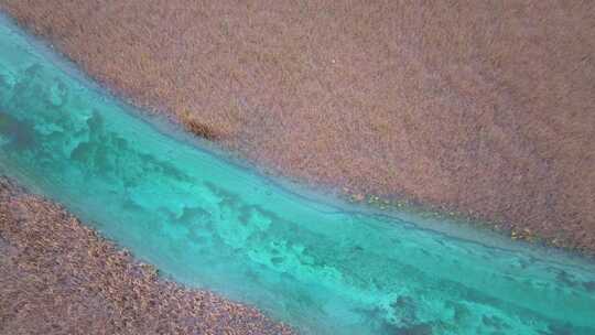 唯美航拍川西九寨沟芦苇海河流湿地湖水彩林