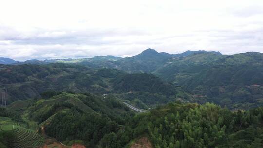 4K茶山环境推进航拍