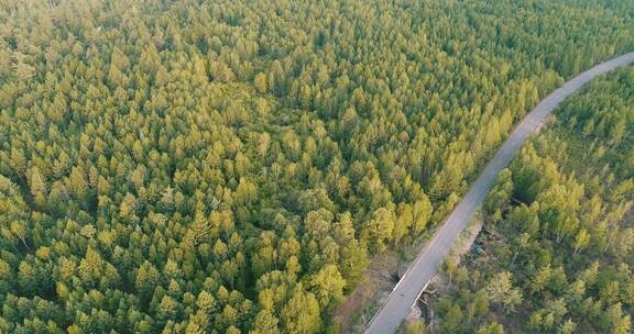 航拍穿越绿色林海的公路