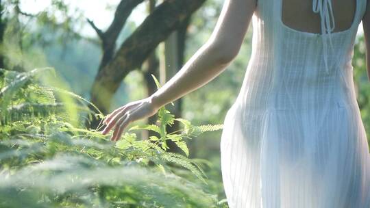 女孩在山林行走背影伸手抚摸小草叶子视频