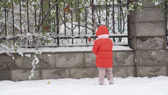 城市大雪