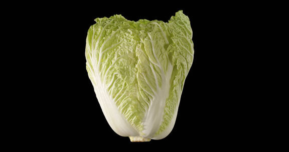 白菜 大白菜 蔬菜 绿色 青菜